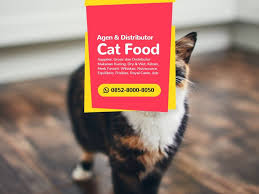 Terlengkap Wa 0852 8000 8050 Grosir Makanan Kucing Proplan Makanan Kucing Kucing Kesejahteraan Hewan