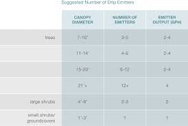 Plant Watering Guide Water Use It Wisely