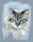 Cat Breeds with Blue Eyes (Big, Beautiful Blue Eyed ...