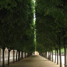Jardin Du Palais Royal Paris Palais Royal Paris Beautiful Places