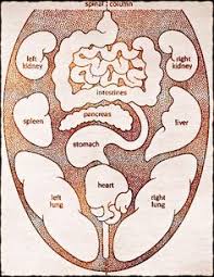 Ayurvedic Tongue Analysis What Does Your Tongue Say About