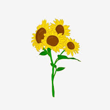 Free Free 326 Vector Clipart Sunflower Png SVG PNG EPS DXF File