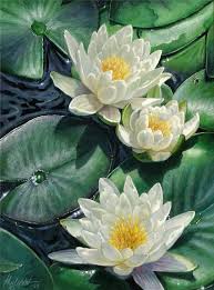 Esra Adli Kullanicinin Cvety Panosundaki Pin Lotus Cicekleri Sanat Cicekler Niluferler