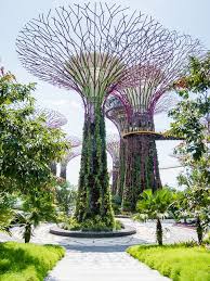 Voyage Singapour Malaisie Singapore Garden Garden Deco Gardens By The Bay