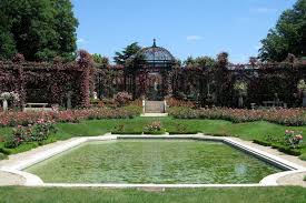 La Roseraie Du Val De Marne Jardin Rose Roseraie Beaute Francaise