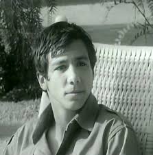 Rod Taylor was an Australian actor renowned for his dynamic performances in  film and television throughout the 1960s and 1970s. Born