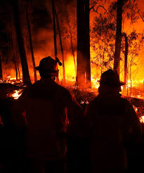 Check spelling or type a new query. How To Help With Extreme Bushfires In Australia 2020