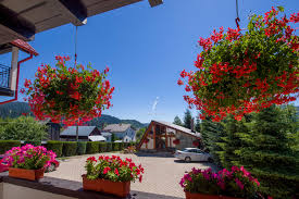 Tarife • descriere • facilități • oferte speciale • contact • localizare. Pensiunea Boculet Gura Humorului Contact Direct