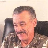 Alan E Amos Obituary