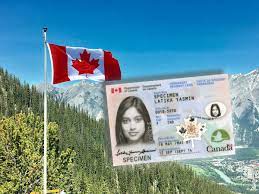 Manque De Jours Sur Le Territoire Avant Expiration De La Carte De Resident Permanent