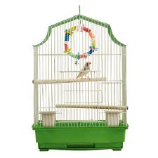Yes, i think it is good for a budgie to be able to see outside during the day. Bird Supplies For Parrots Parakeets More Petsmart