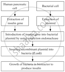 Recombination Dna Technology Is Of Great Importance In The