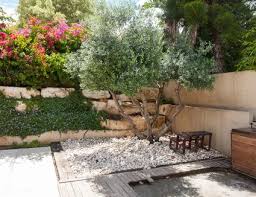 11 Types Of Olive Trees To Know And Grow In 2020 Mediterraner Garten Mediteraner Garten Garten Anlegen