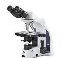 Microscopio compuesto binocular iScope con oculares EWF 10x/0.866 in, Plan  PLI 4/10/S40/S100x Oil iOS Objetivos, escenario sin estante e iluminación  ...