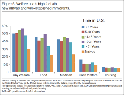 average iq by race ethnicity and career and why it