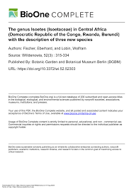 Image result for Isoetes welwitschii