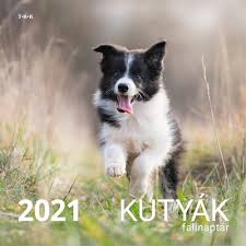 Ezzel a 2021 naptár készítővel lehetősége van kiválasztani a legmegfelelőbb naptár képkeret szegélyt. Naptar Hungarikum 2021 Naptar 29x29 Cm 5999550448880