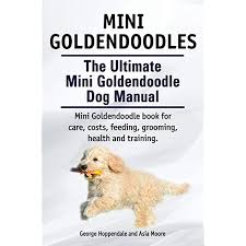 Ask questions and learn about goldendoodles at nextdaypets.com. Mini Goldendoodles The Ultimate Mini Goldendoodle Dog Manual Miniature Goldendoodle Book For Care Costs Feeding Grooming Health And Training Hoppendale George Moore Asia 9781910617175 Amazon Com Books