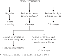 Cervical Cancer Screening American Family Physician