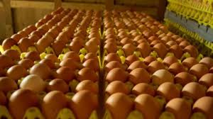 Get in touch with us now. Eggs Q A How Many Dozen Eggs Do Canadian Egg Farmers Produce Each Year Get Cracking