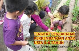 Masih bingung tentang pengisian raport selama pembelajaran bdr?apakah sama dengan format pembelajaran tatap muka?berikut adalah tips mudah mengisi dan. Tingkat Pencapaian Perkembangan Anak Usia 5 6 Tahun Paud Jateng