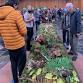 Fall Mushroom Show event image