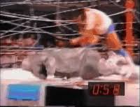 Cactus jack vs terry funk deathmatch /w foley commentary. Terry Funk Gifs Get The Best Gif On Gifer