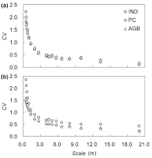 Image result for Zygophyllum leucocladum