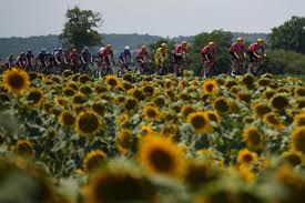 APTOPIX Cycling Tour de France