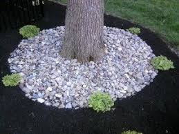 Refreshing A Swimming Pool Landscape All About The House Pool Landscaping Swimming Pool Landscaping Landscaping Around Pool