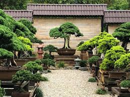 Pin By Francis On Japanese Garden Japanese Garden Style Bonsai Garden Bonsai