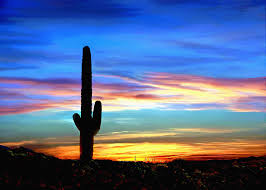 See more ideas about saguaro, desert sunset, landscape. Arizona Sunset Saguaro National Park Painting By Bob And Nadine Johnston