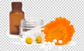 Is your network connection unstable or browser outdated? Bach Flower Remedies Homeopathy Medicine Therapy Alternative Health Services Health Traditional Chinese Medicine Pharmaceutical Drug Flower Png Klipartz