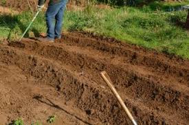 When garden soil is in good shape there is less need for fertilizers or pesticides. How To Till Soil Without A Tiller Lovetoknow