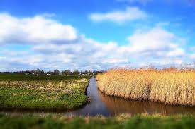 Experience and transportation to and from work is required. Dutch Landscape North Holland Scenic Polder Ditch Rushes Reeds Grass Meadow Clouds Skies Pikist