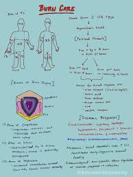 Image result for Burn Management