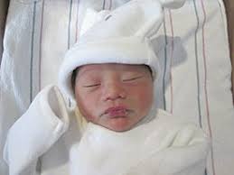 Steuben County Births