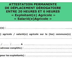 Les rassemblements en extérieur ne doivent pas dépasser 6 personnes. Couvre Feu Et Covid 19 Nouvelle Attestation De Deplacement Agri53
