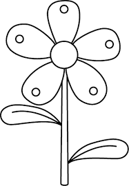 Black And White Garden Flower White Flowers Garden Parts Of A Flower White Gardens