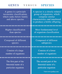 Difference Between Genus And Species Comparison Summary Species Definition Species 10th Grade Biology