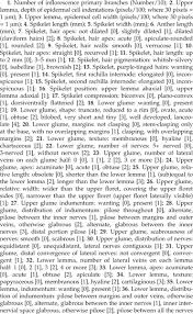 Image result for Digitaria gymnostachys