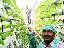 Hydroponics Future Of Agriculture Its 100 Organic Uses Less Water How to start your hydroponic farm?