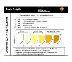 Urine Color Chart Infection Color Chart Urinal Chart