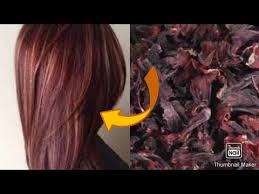 صبغة طبيعية بالكركديه لتغطية الشيب والتي تدوم 60 يوما و النتيجة من أول استعمال Youtube Hair Styles Long Hair Styles Hair