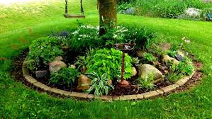 Liven up your landscape with plants that bloom alongside colorful fall foliage. When Considering A Garden Beneath A Tree It Is Important To Keep A Few Rules In Mind Otherwise Plants Under Trees Landscaping Around Trees Planting Flowers