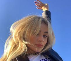 What happened between olivia rodrigo and joshua bassett? Sabrina Carpenter Denies That Her New Song Skin Is Throwing Shade At Olivia Rodrigo