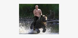 See more ideas about bear, vladimir putin, putin. Thumb Image Putin And A Bear Free Transparent Png Download Pngkey