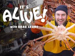 Check spelling or type a new query. Prime Video It S Alive With Brad