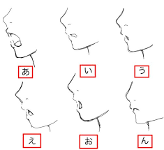 顔の描き方 顔の目 鼻 口 耳など顔の基本的な部分の描き方について詳しく紹介 顔のスケッチ スケッチのコツ 口イラスト