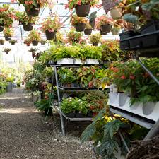 1150 mc kinley avenue columbus, ohio 43222 contact: Grandview Strader S Garden Centers